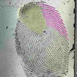 Ashpreet Kaur, Michigan State Police